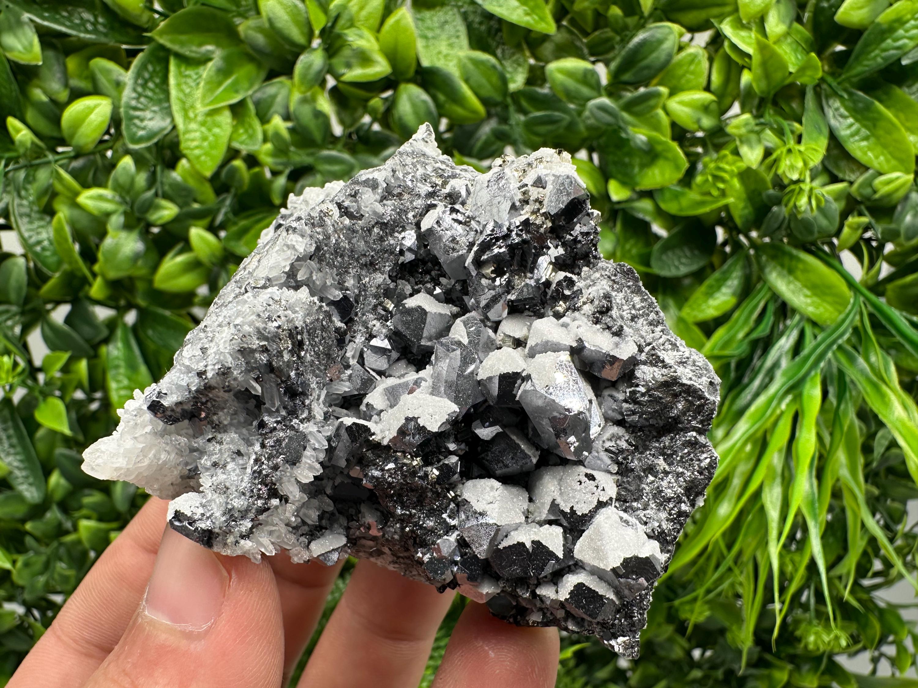 Skeletal Galena Mineral Specimen, Drujba Mine Bulgaria