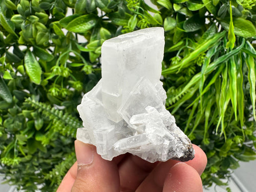 Barite Marcasite Chalcedony Cluster, Androvo Mine Bulgaria