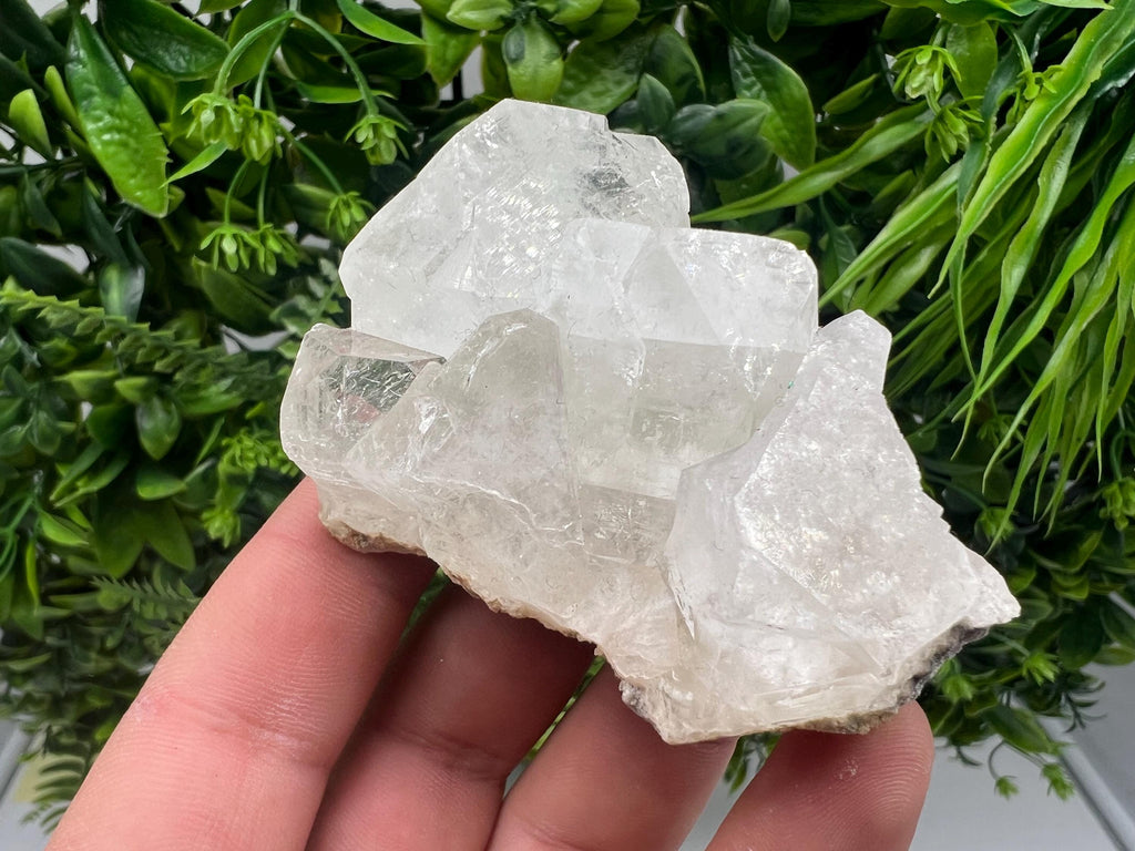 Apophyllite on Chalcedony Specimen: Transparent Crystal, India Minerals