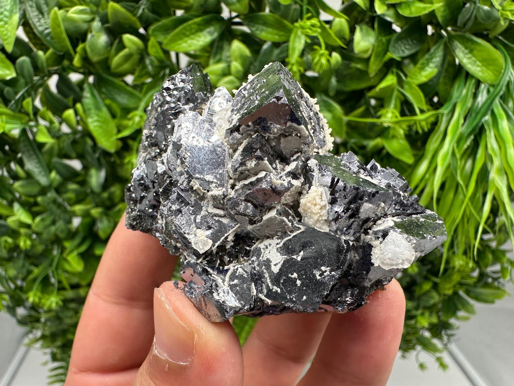 Rare Mirror Galena Cubes: Marzyan Mine, Bulgaria