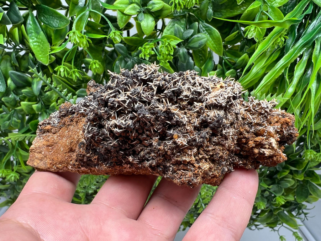 Rare Madjarovo Pyromorphite with Hematite on Quartz, Bulgaria