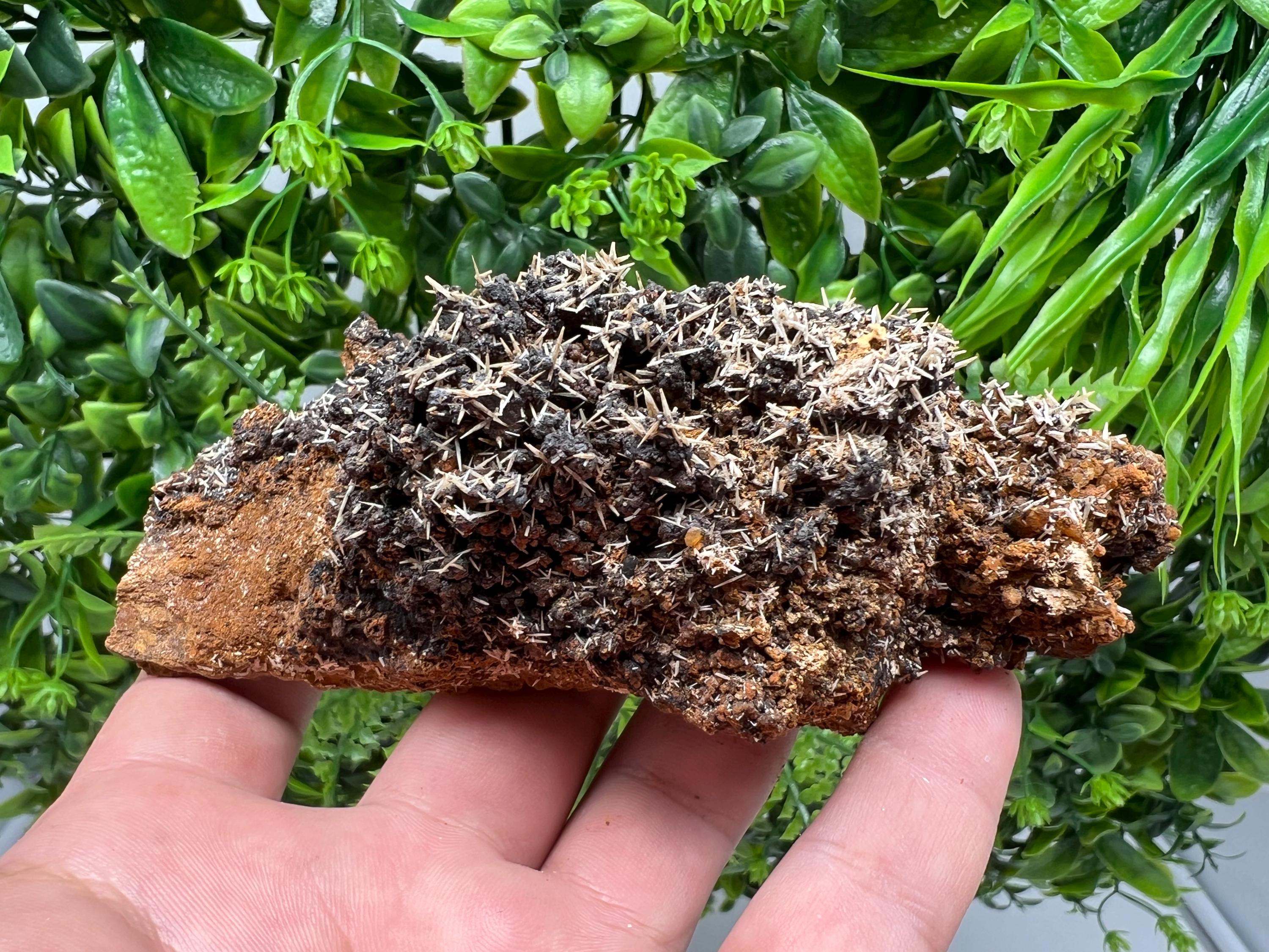 Rare Madjarovo Pyromorphite with Hematite on Quartz, Bulgaria
