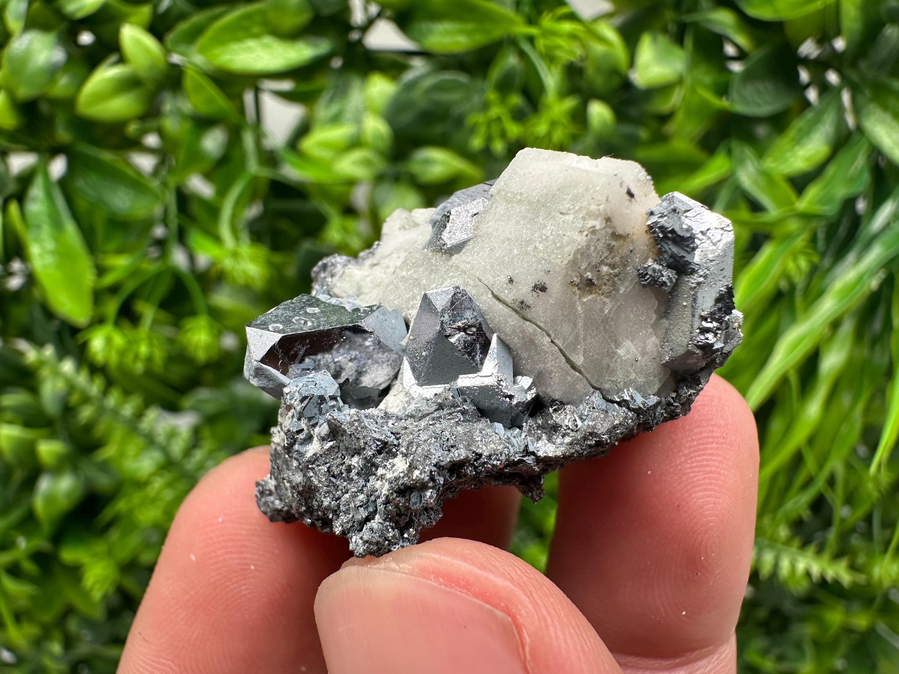 Stunning Shpinel Galena on Sphalerite,Calcite from Borieva mine,Madan,Bulgaria,Natural,collectible mineral specimen,home decor,collectible’s