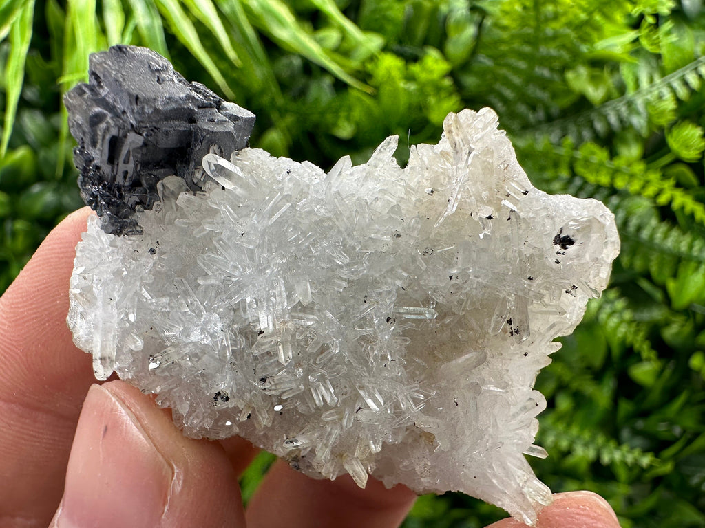 Galena on Quartz, Natural Crystal Mineral Specimen