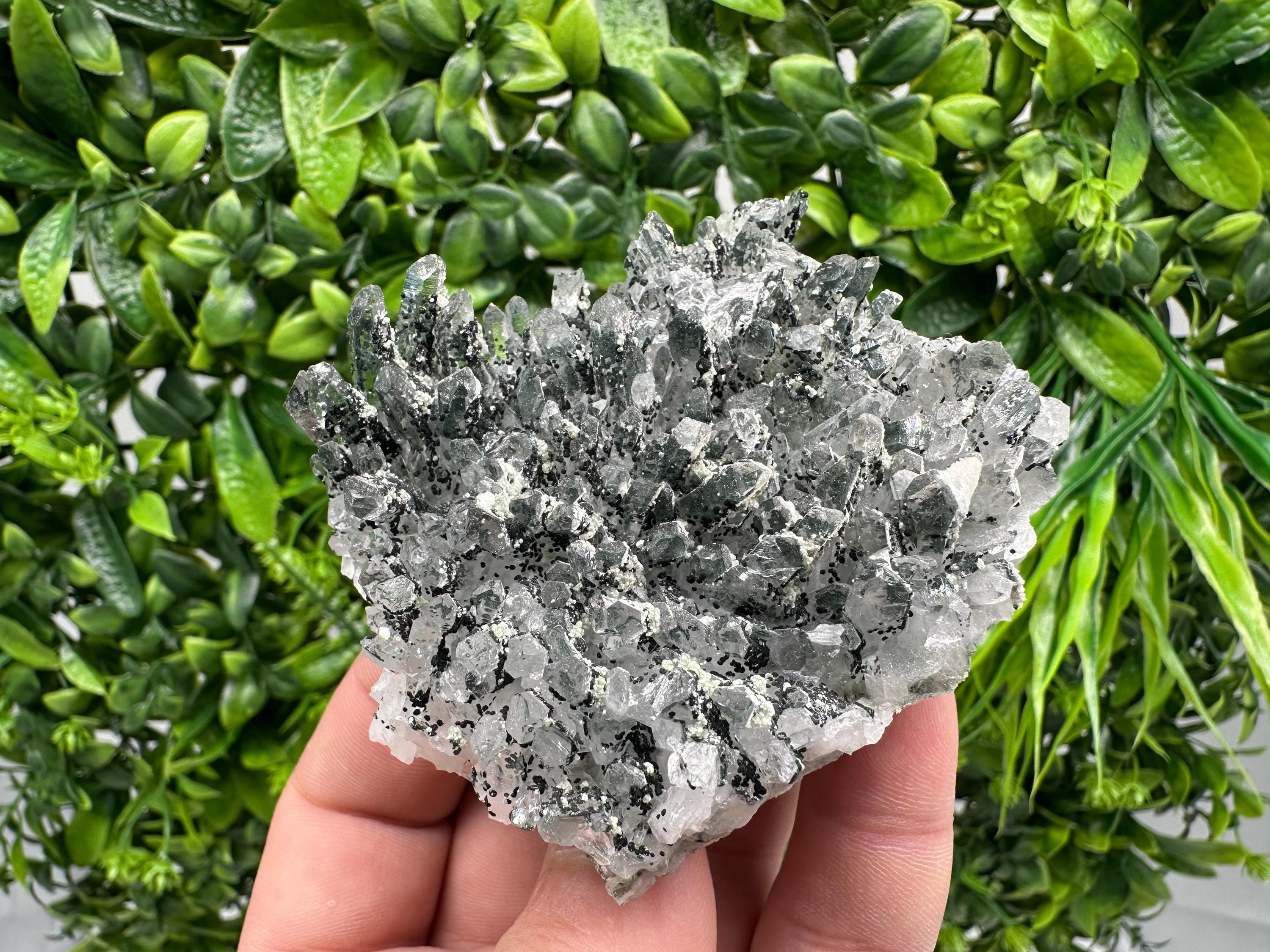 Chlorite Quartz Mineral Specimen, Borieva Mine, Bulgaria