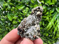 Pyrite on Green Quartz Mineral Specimen, Borieva Mine Bulgaria
