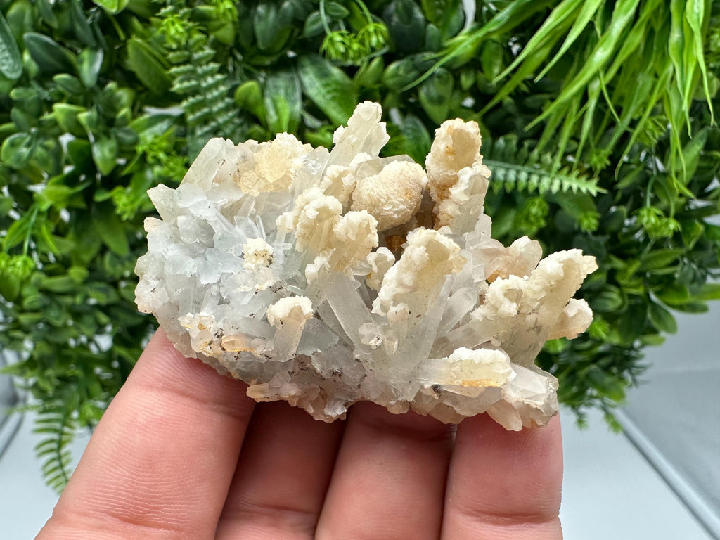 Calcite on Green Quartz: Djurcovo Mine, Bulgaria - Healing Crystal