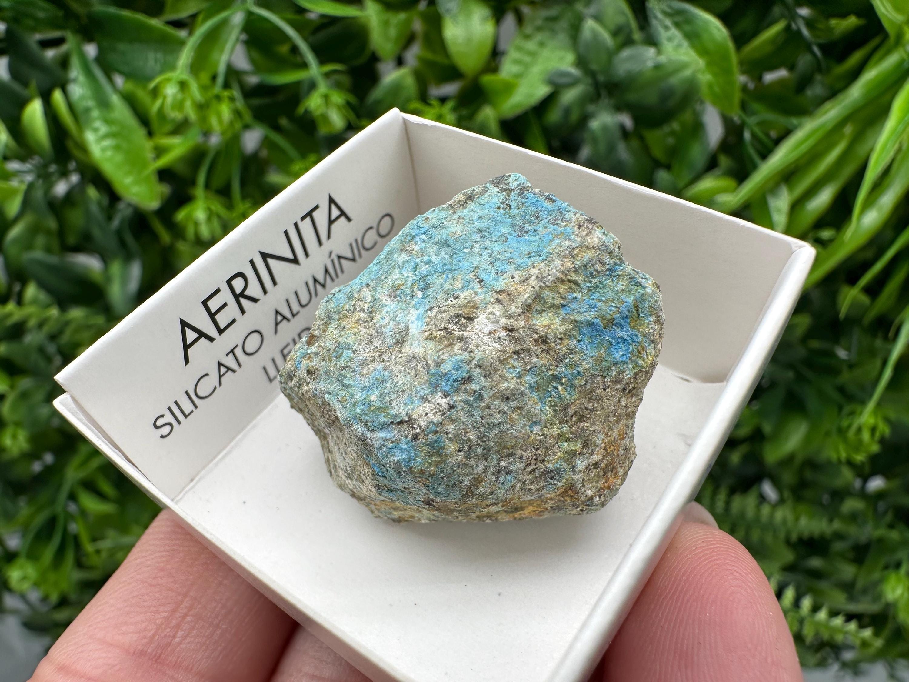 Rare Raw Aerinite Mineral Specimen: Lleida, Spain Crystal