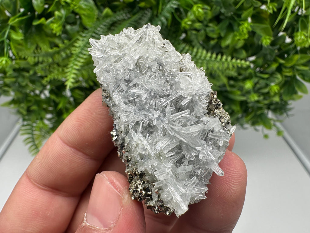 Pyrite on Green Quartz Mineral Specimen, Borieva Mine Bulgaria