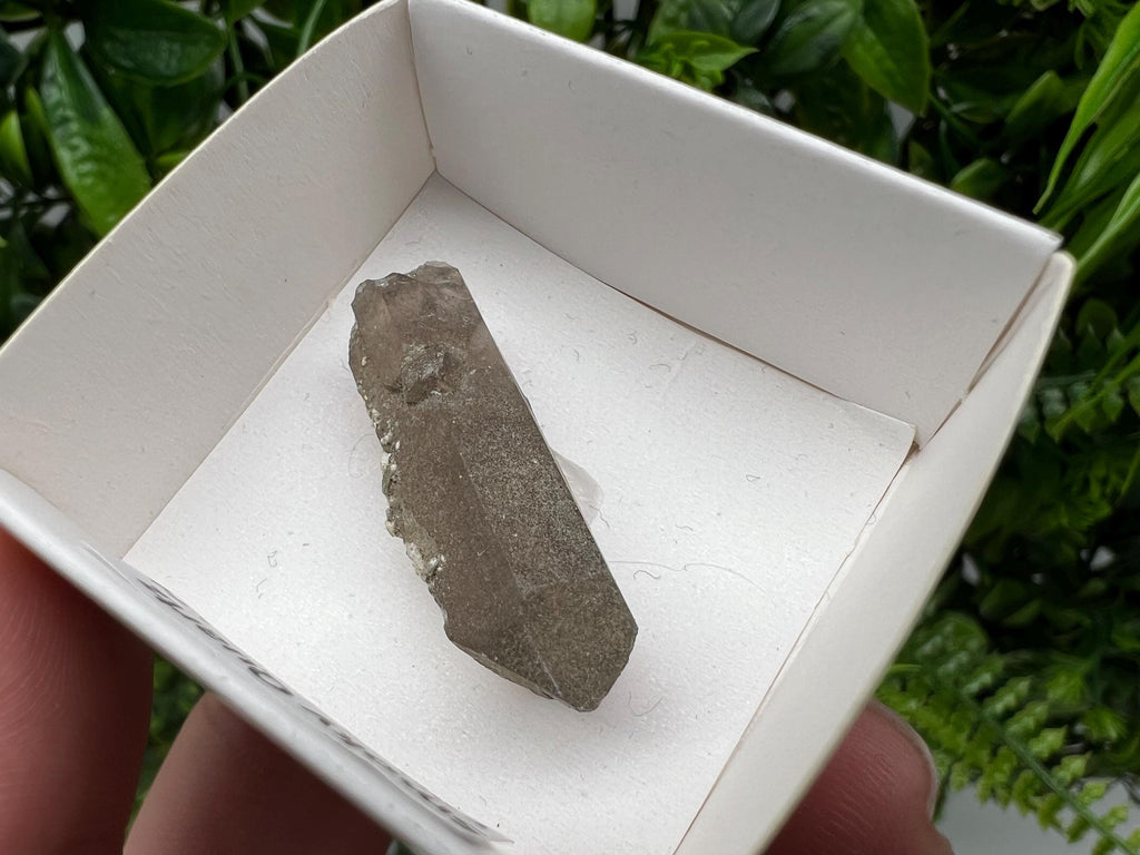 Rare Fedenstock Smoky Quartz Point, Switzerland Mineral Specimen (35MM)