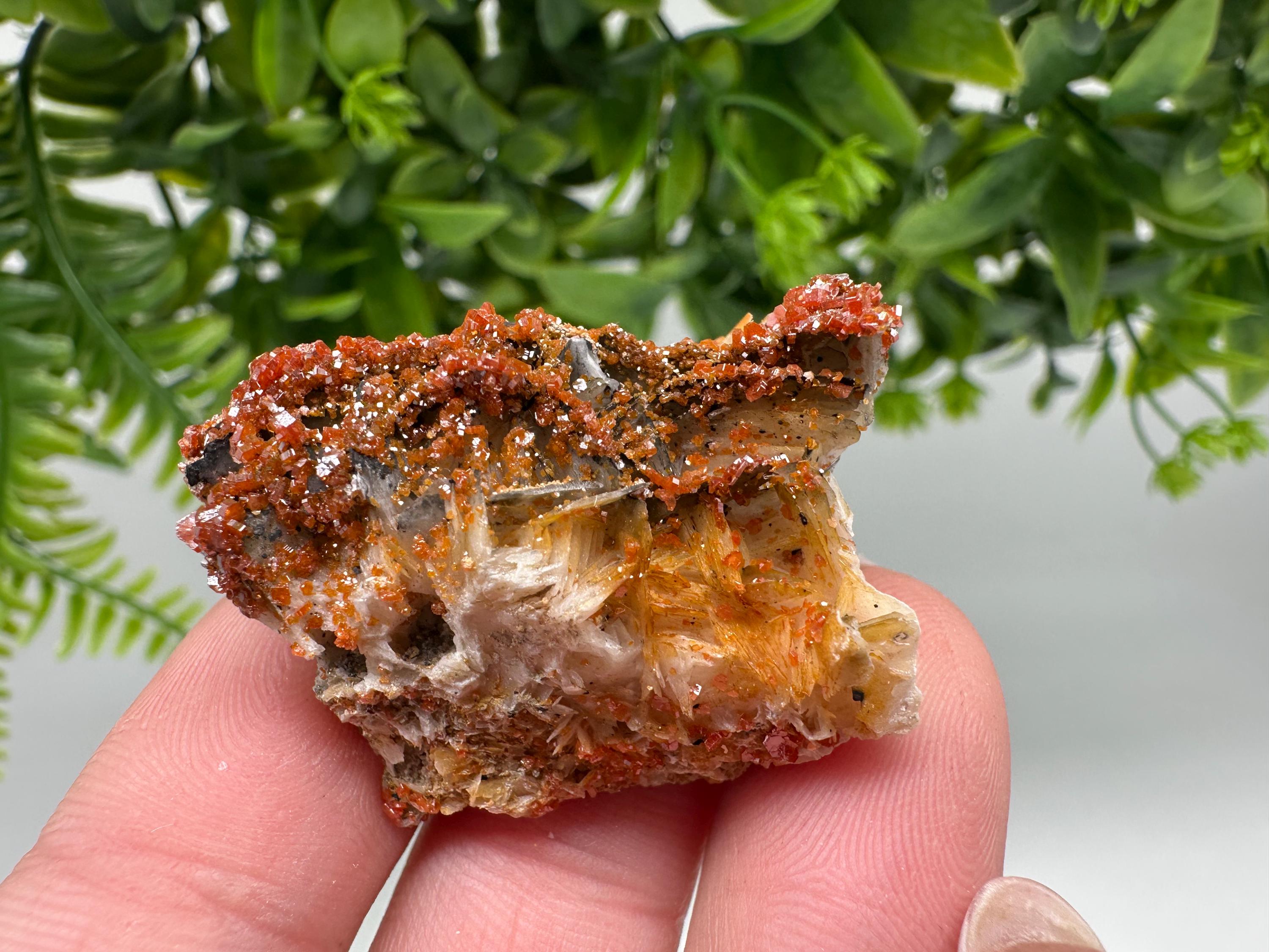 Red Vanadinite on Barite from Marocco,crystal minerals Speciment cluster Vanadinite crystal Vanadinite Geology Vanadinite cluster minerals
