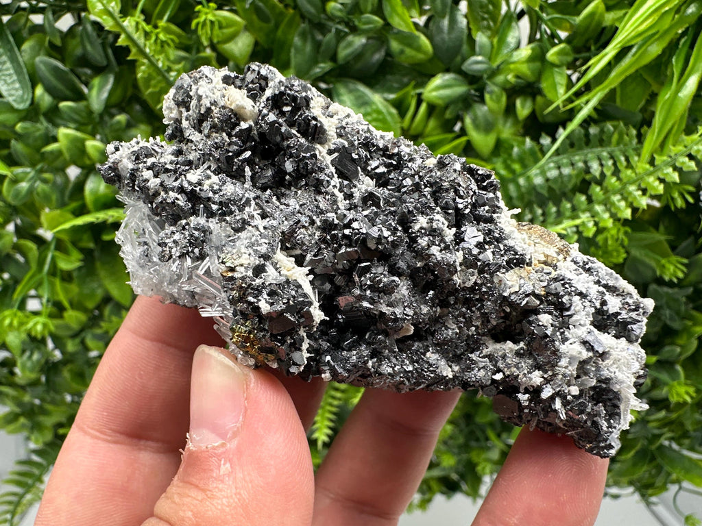 Rainbow Pyrite on Sphalerite and Quartz, Borieva Mine, Bulgaria