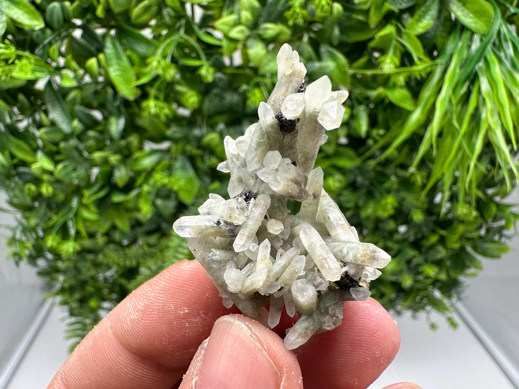 Wonderful Transparent Quartz on Chlorite Matrix,From Borieva mine,Madan,Bulgaria,Quartz,Quartz crystal,mineral specimen,collection quartz