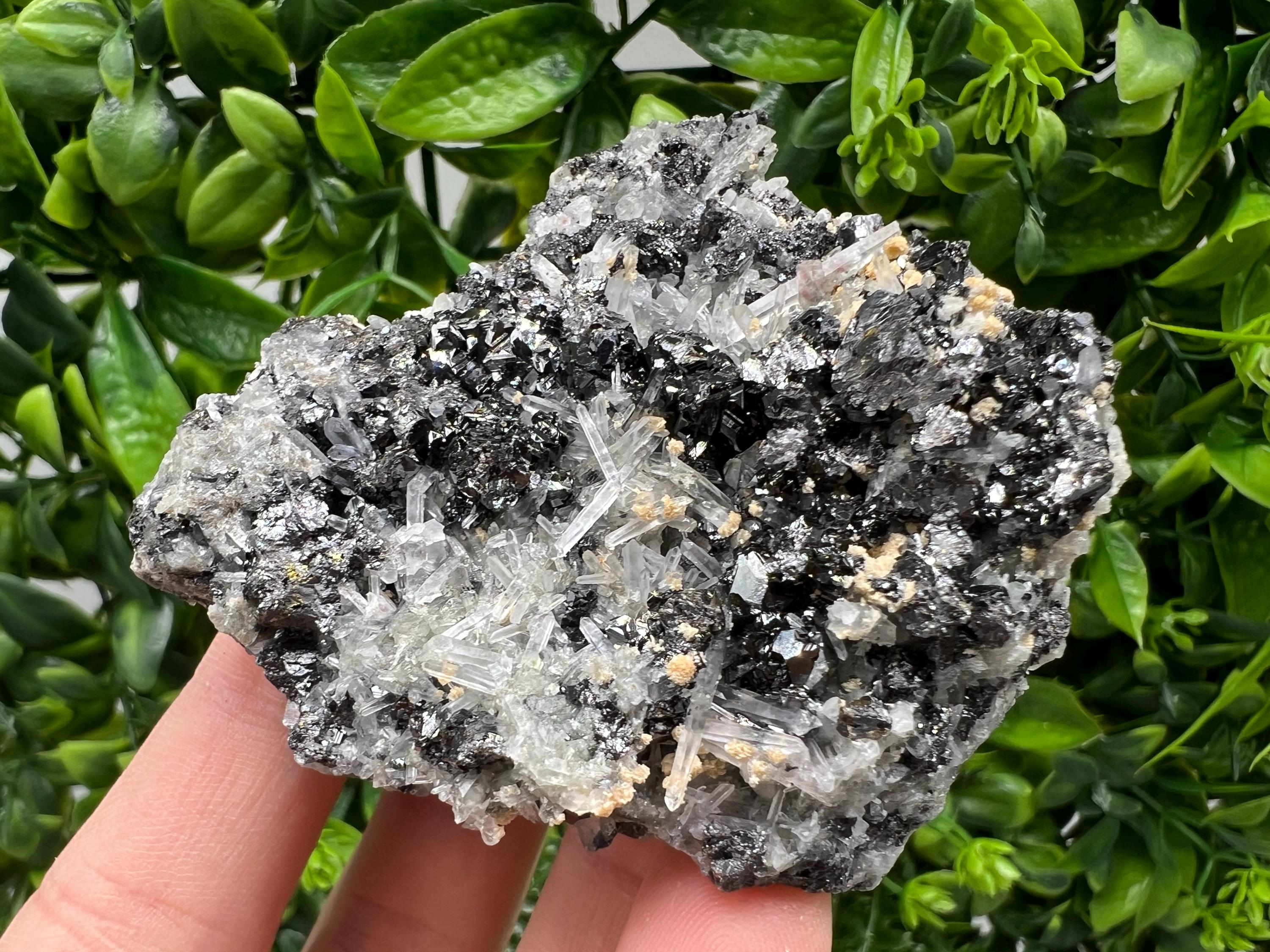 Galena Cluster with Siderite and Quartz, 9th September Mine, Bulgaria