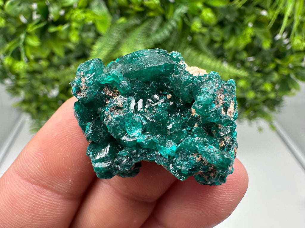 Stunning Green Dioptase from Sanda Hills,Mindouli,Pool Department,Mindouli District,Congo,green Dioptase,Dioptas Crystal,Dioptase collecting