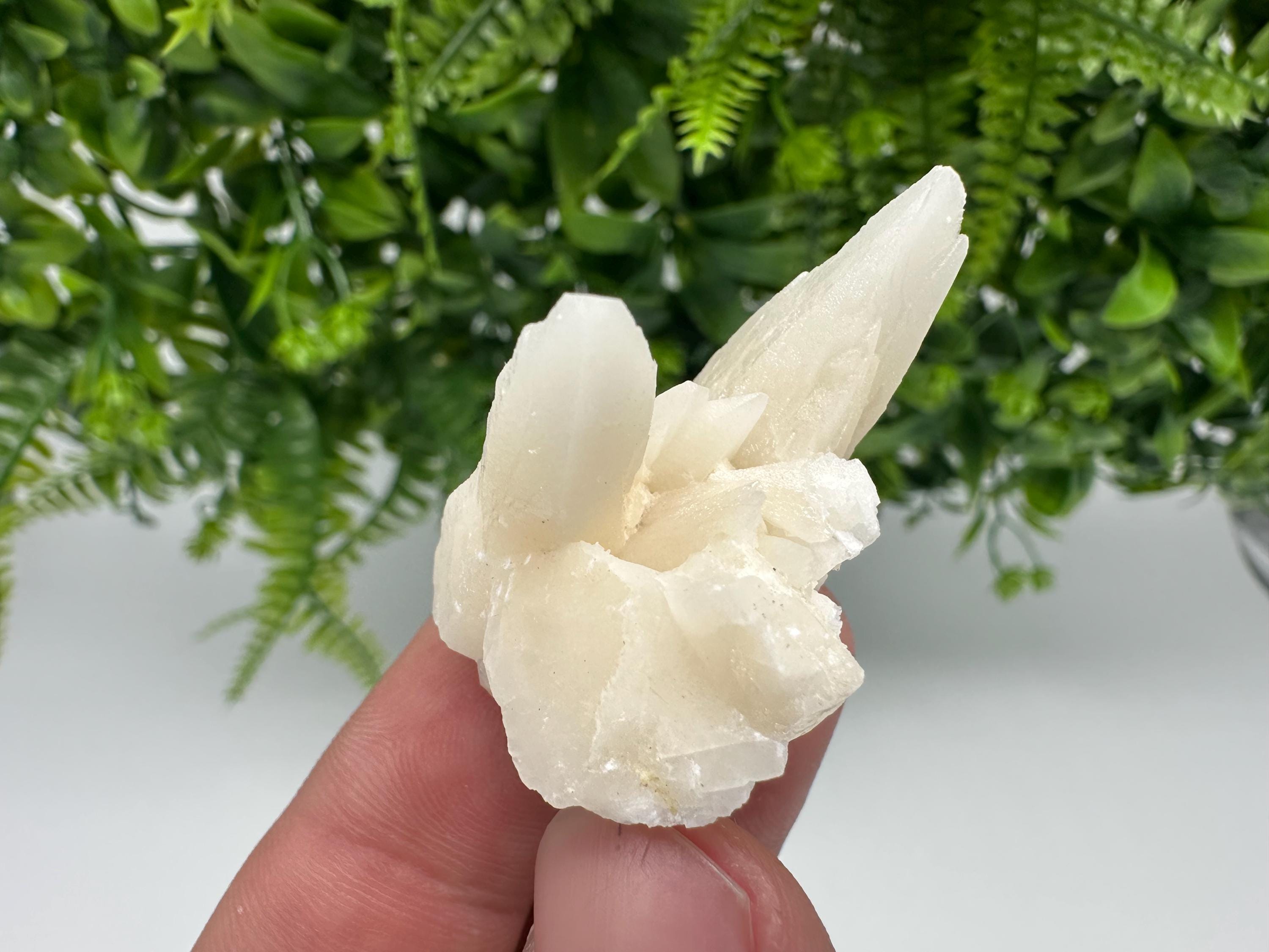 Calcite on Aragonite: Djurcovo Mine, Bulgaria Crystal