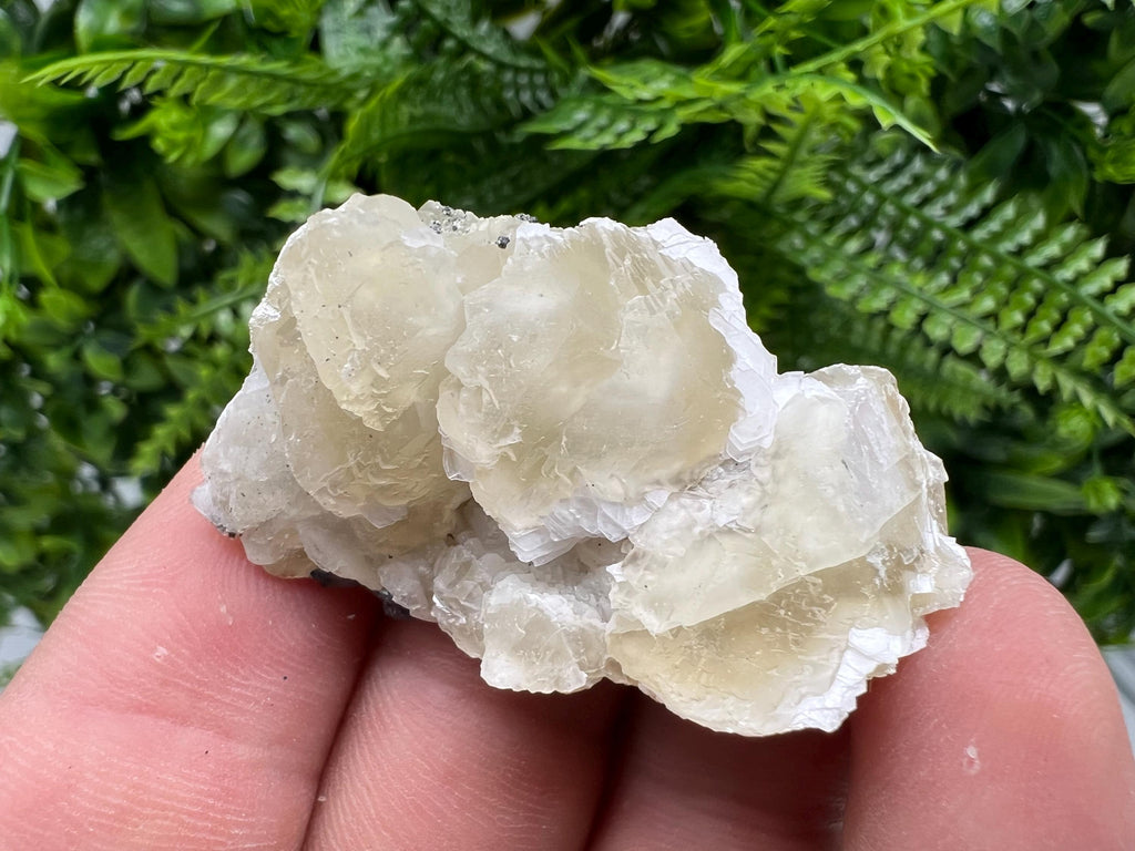 Calcite on Galena Specimen: Borieva Mine, Bulgaria