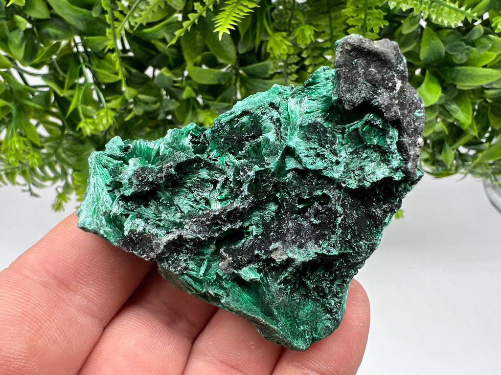 Polished Green Malachite Crystal Specimen from Congo