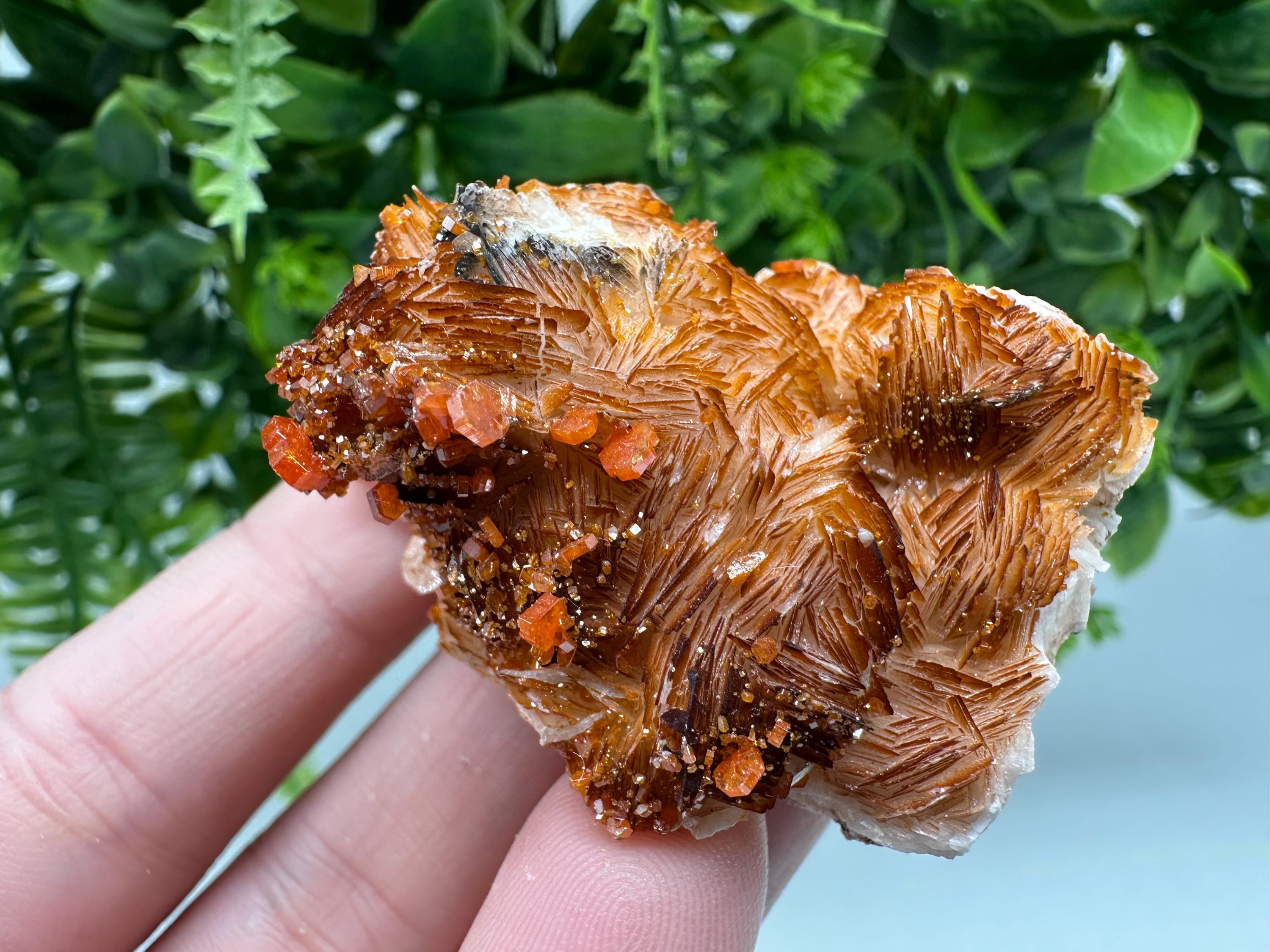 Red Vanadinite Crystal Cluster on Barite Matrix from Morocco, Geology Specimen