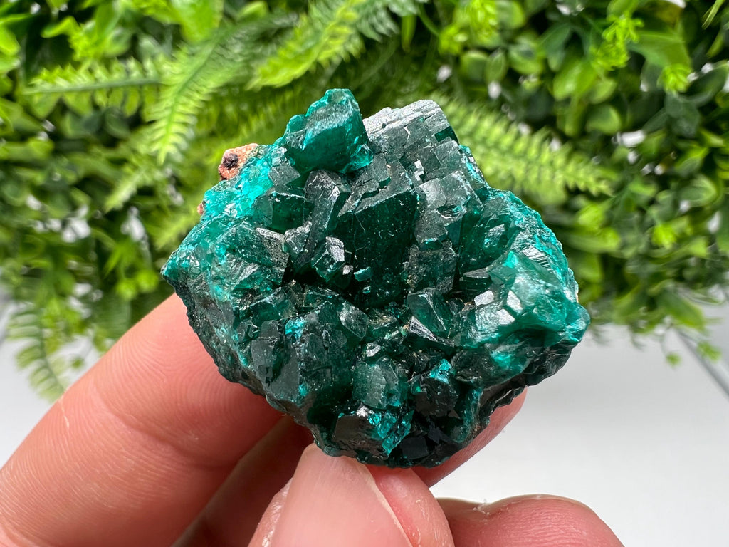 Stunning Green Dioptase from Sanda Hills,Mindouli,Pool Department,Mindouli District,Congo,green Dioptase,Dioptas Crystal,Dioptase collecting