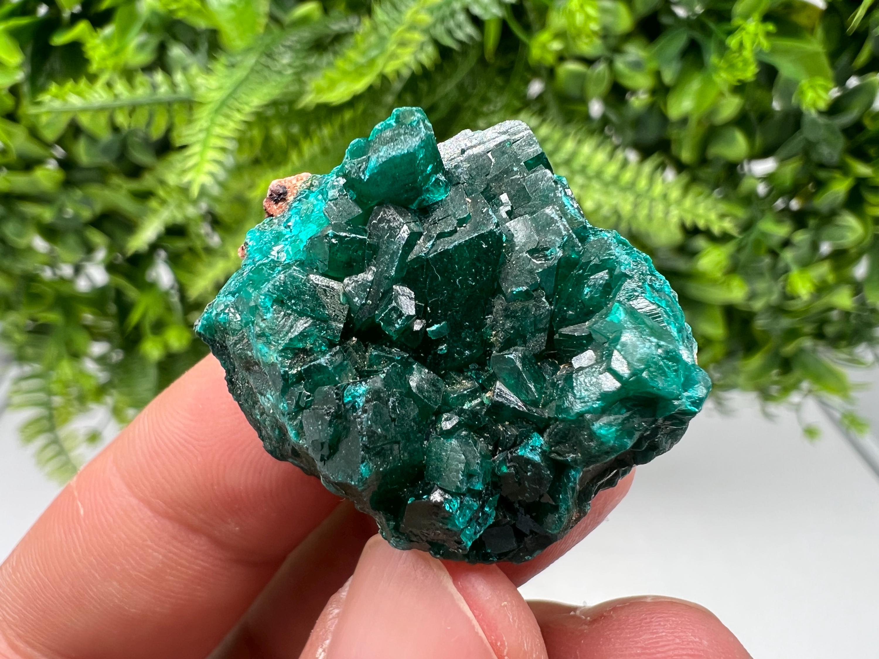 Stunning Green Dioptase from Sanda Hills,Mindouli,Pool Department,Mindouli District,Congo,green Dioptase,Dioptas Crystal,Dioptase collecting