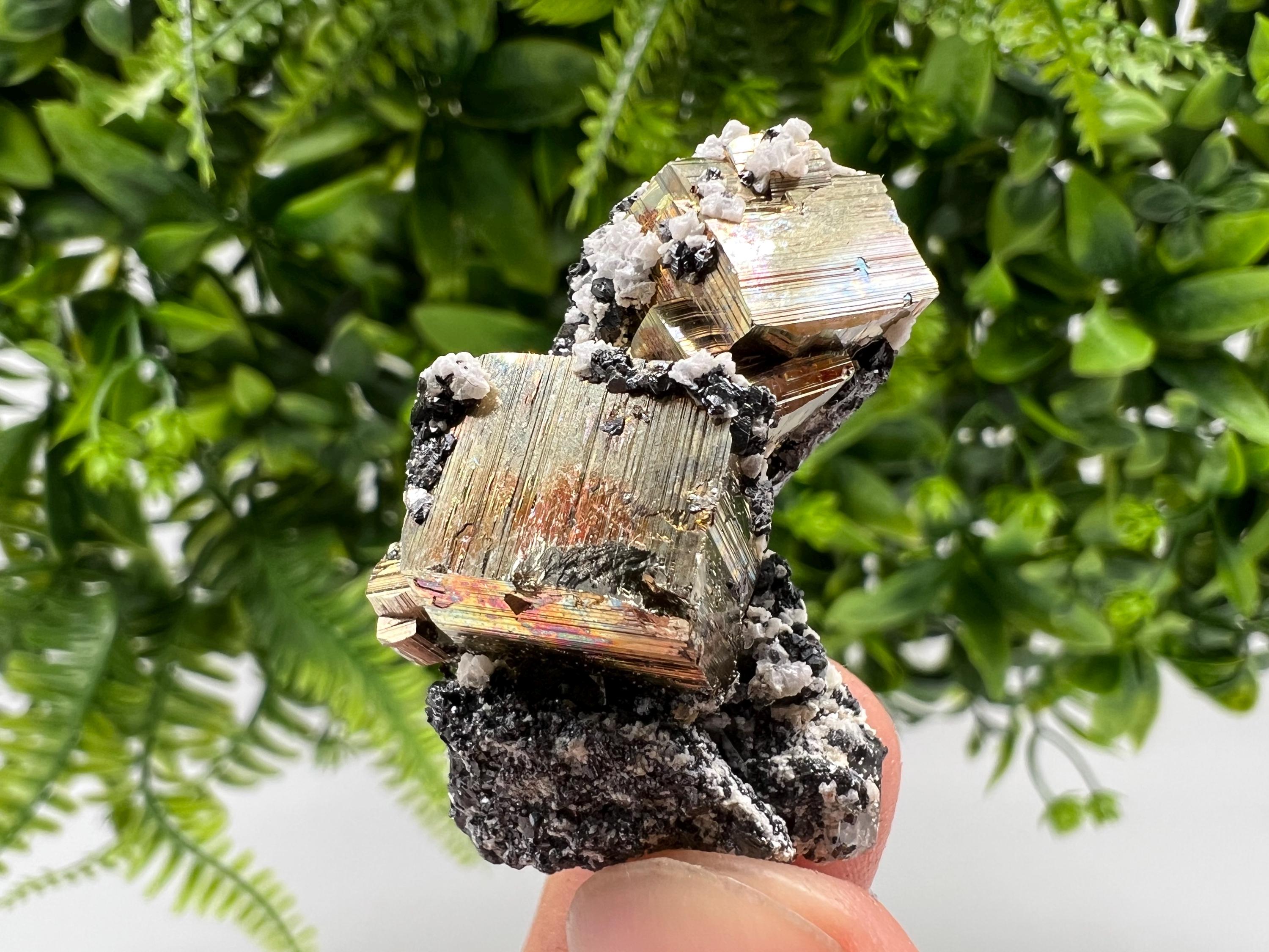 Mini Rainbow Pyrite Cluster: Borieva Mine, Bulgaria