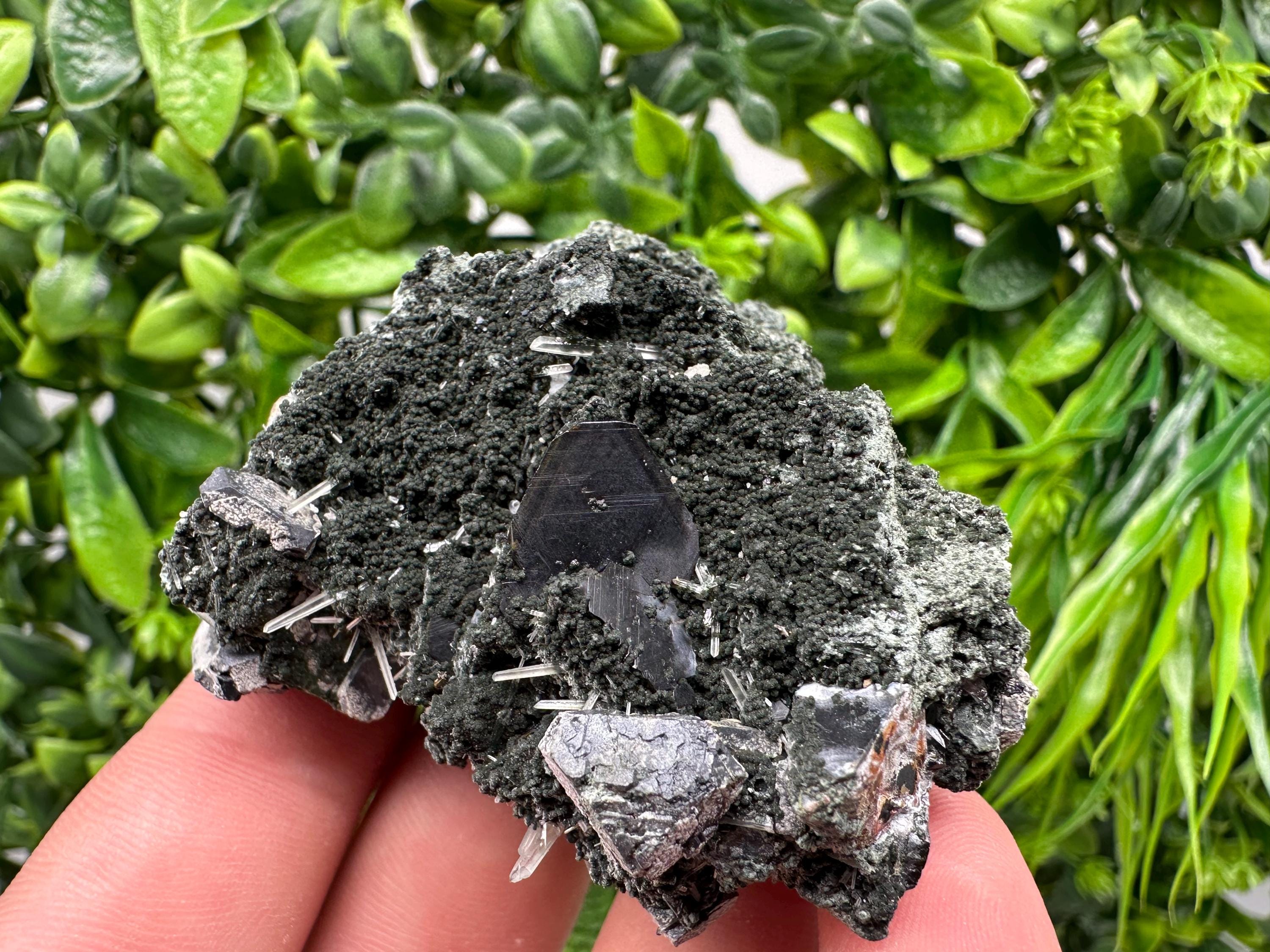 Sphalerite on Quartz, Epidote, Chlorite, Borieva Mine Mineral Specimen