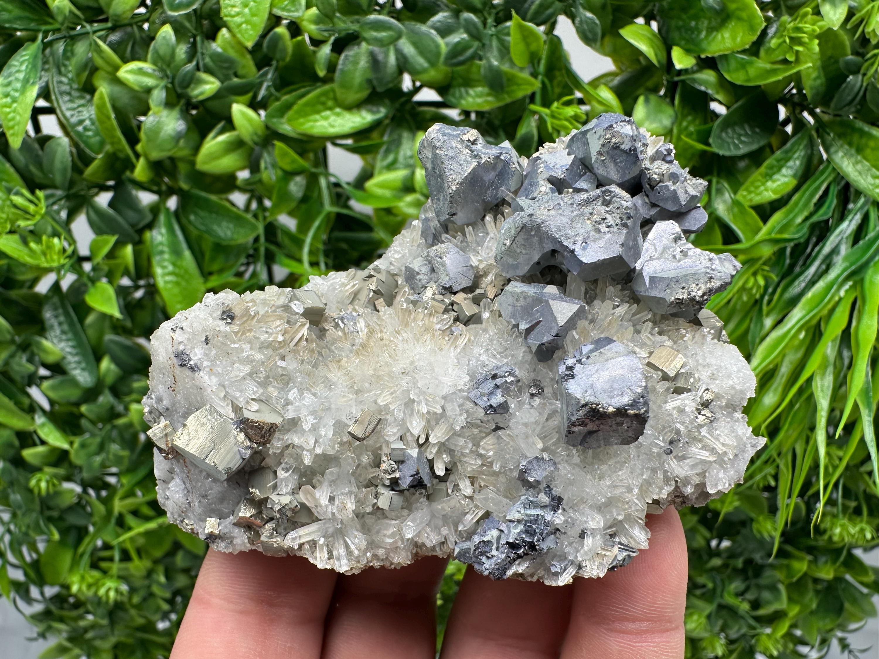 Galena Sphalerite Chalcopyrite Quartz Mineral Specimen: Djurcovo Mine, Bulgaria