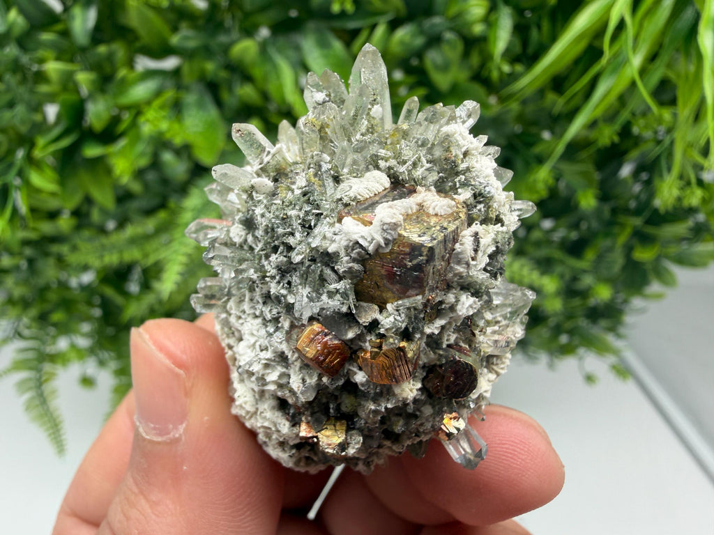 Pyrite Galena on Green Quartz, Chlorite Mineral Specimen, Bulgaria