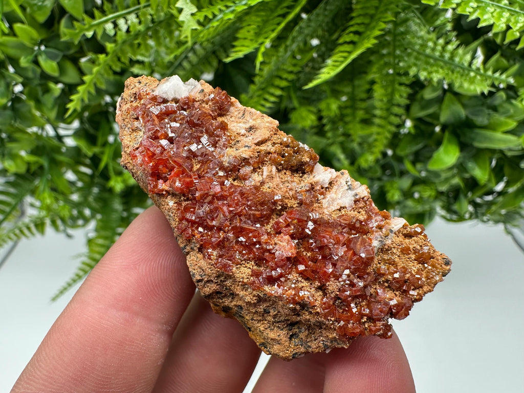 Red Vanadinite Crystal Cluster on Barite Matrix, Morocco Mineral Specimen