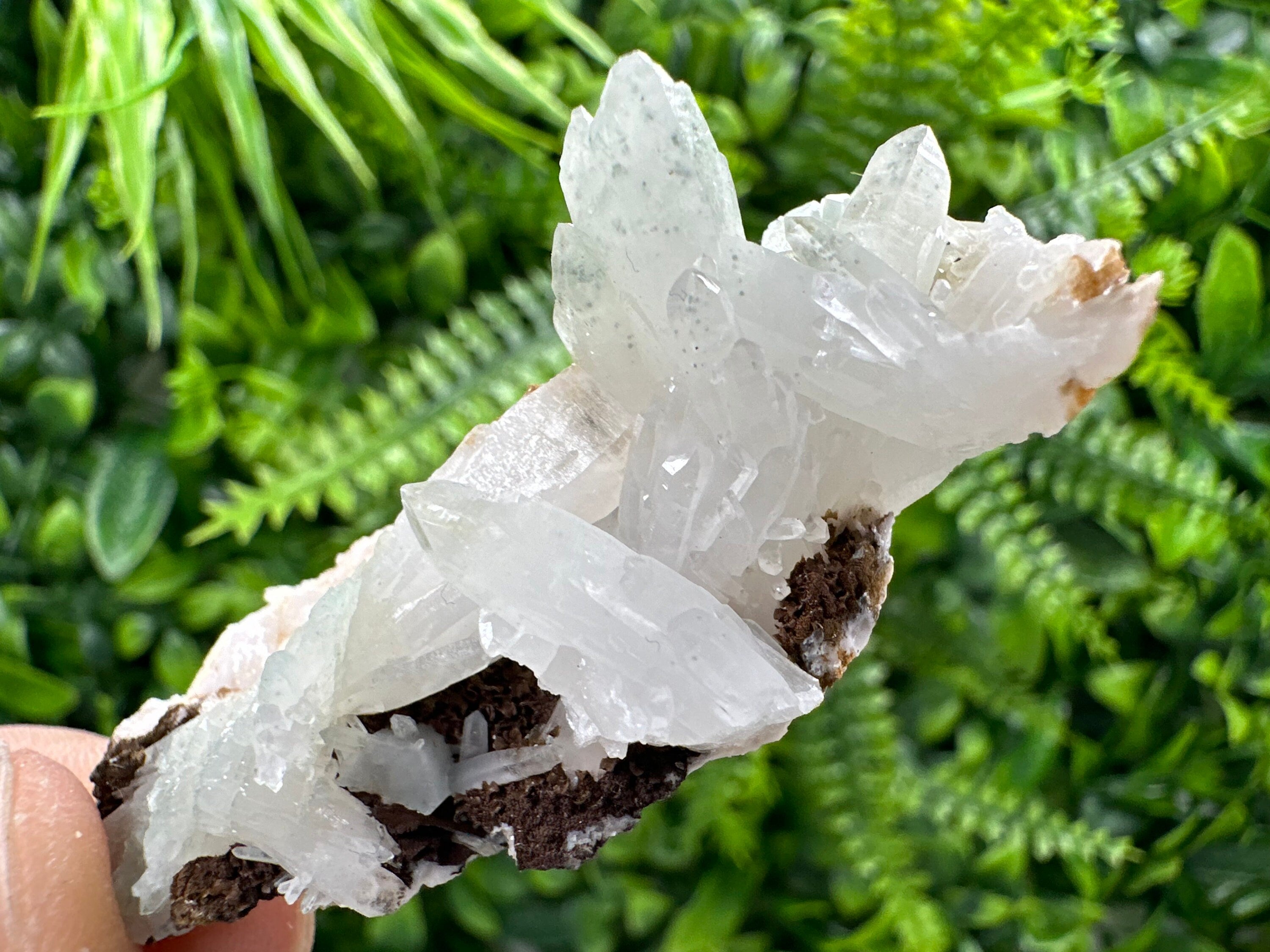 Quartz with Chlorite, Rhodochrosite, and Siderite Mineral Specimen