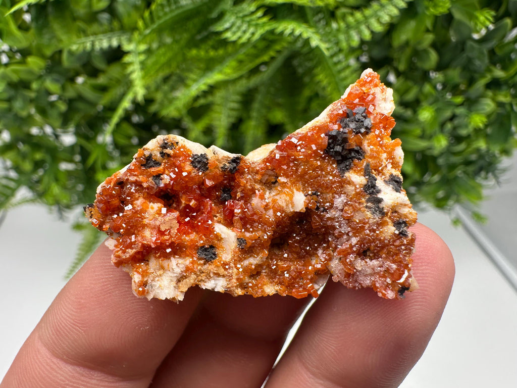 Red Vanadinite on Barite from Marocco,crystal minerals Speciment cluster Vanadinite crystal Vanadinite Geology Vanadinite cluster minerals