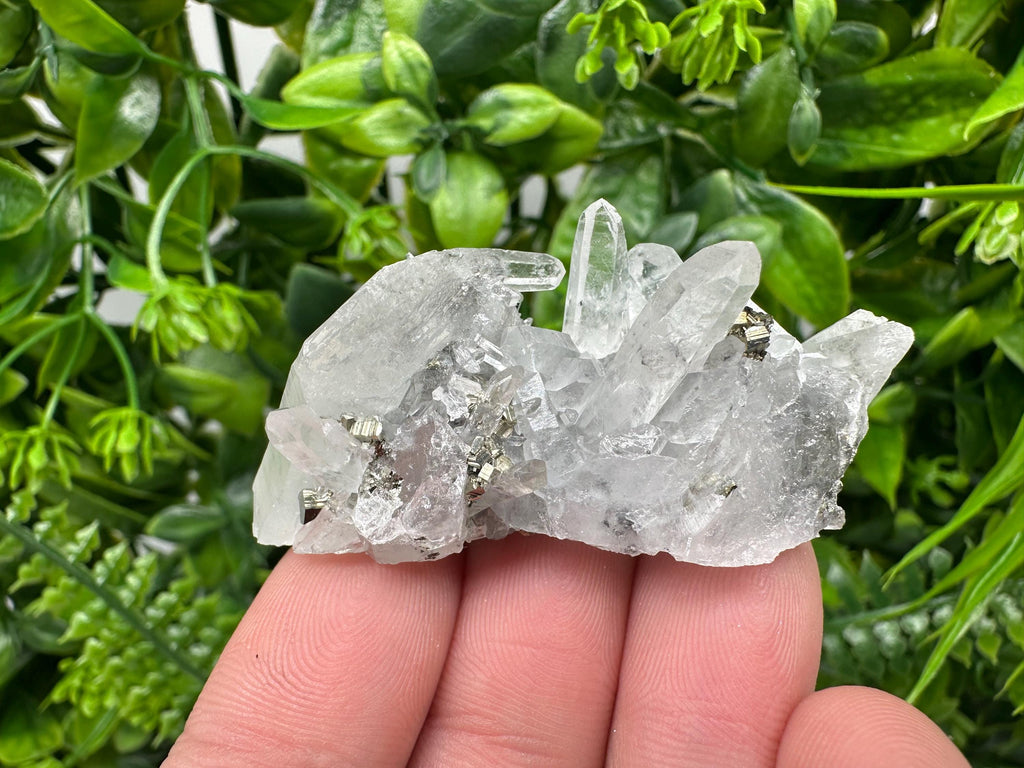 Pyrite on Green Quartz Mineral Specimen, Borieva Mine Bulgaria