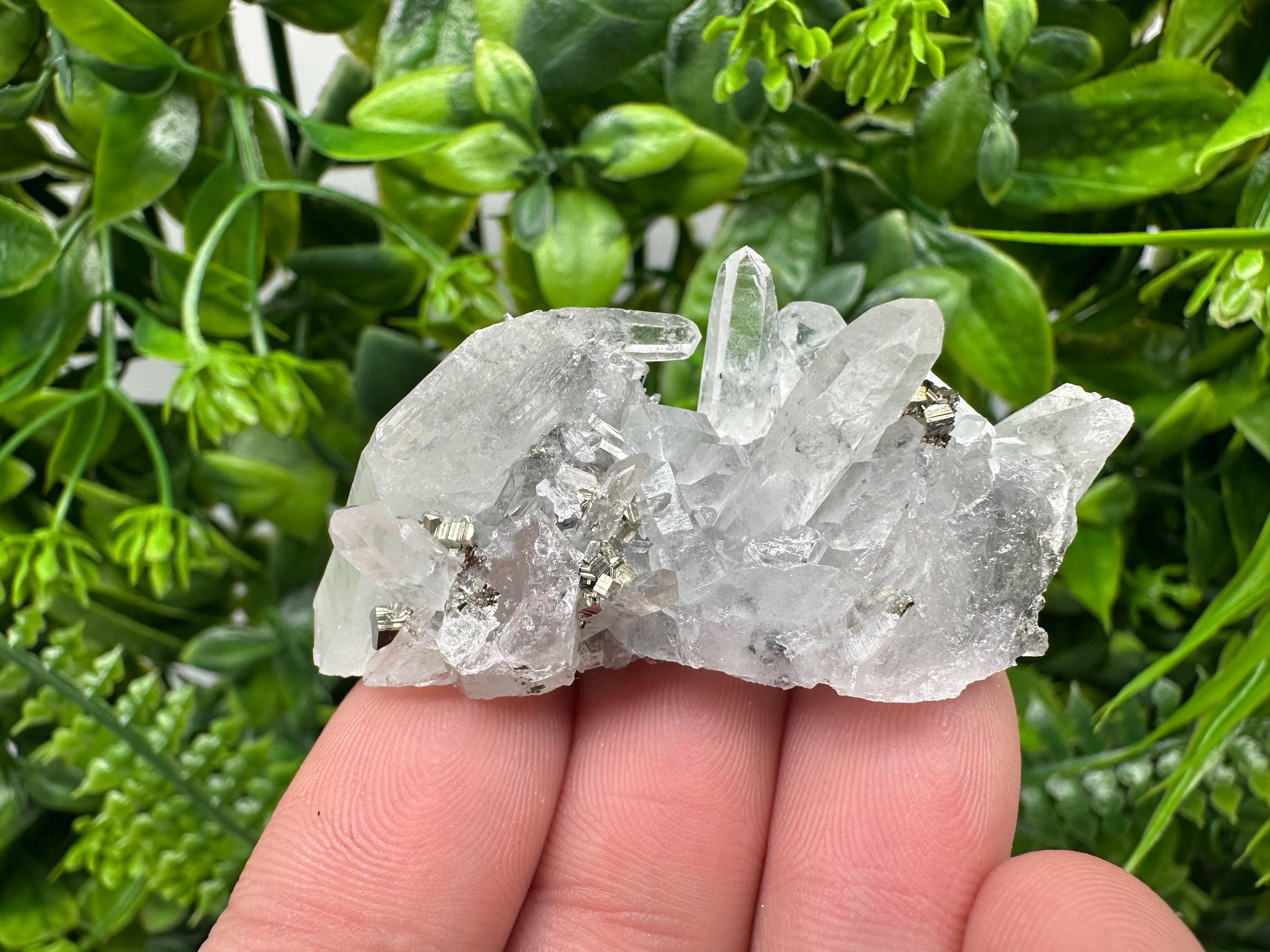 Pyrite on Green Quartz Mineral Specimen, Borieva Mine Bulgaria