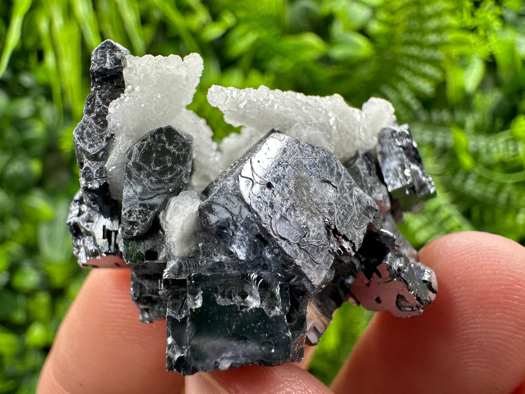Rare Calcite on Galena: Borieva Mine, Bulgaria