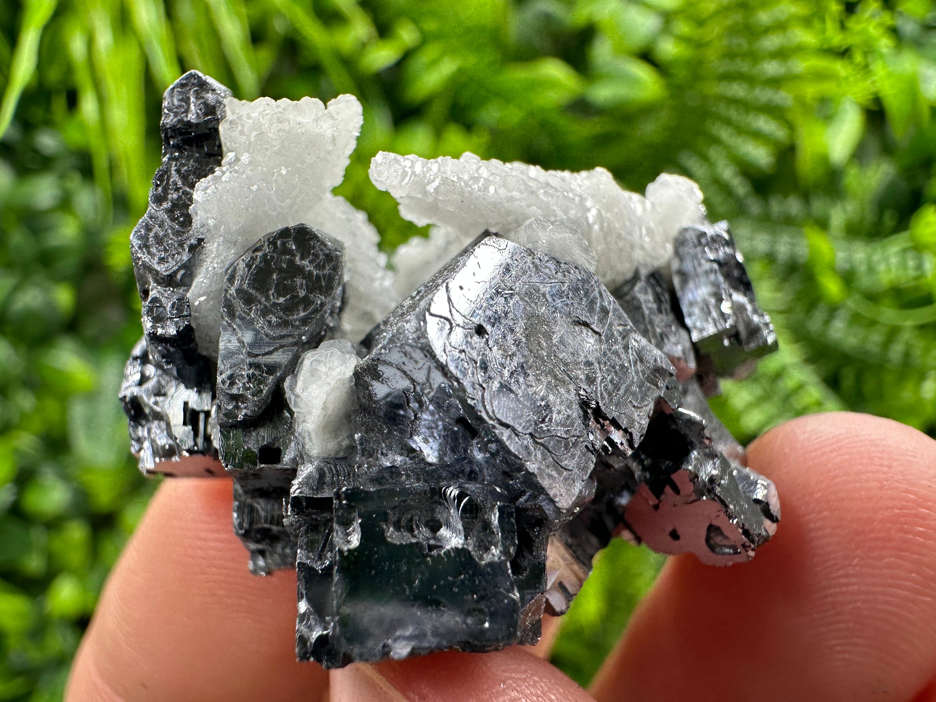 Rare Calcite on Galena: Borieva Mine, Bulgaria