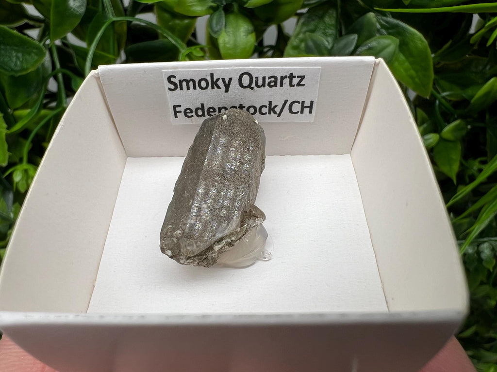 Rare Smoky Quartz Point from Fedenstock Switzerland (30 MM)