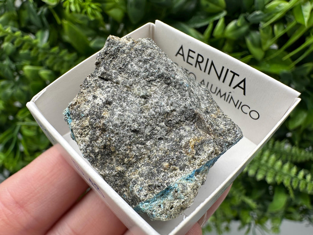Rare Raw Aerinite Mineral Specimen: Lleida, Spain Crystal
