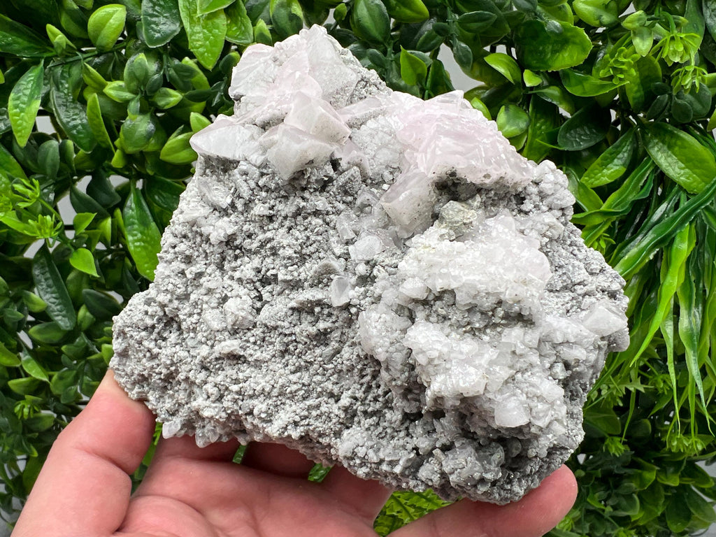 UV Reactive Mangano Calcite Crystal, Androvo Mine Bulgaria