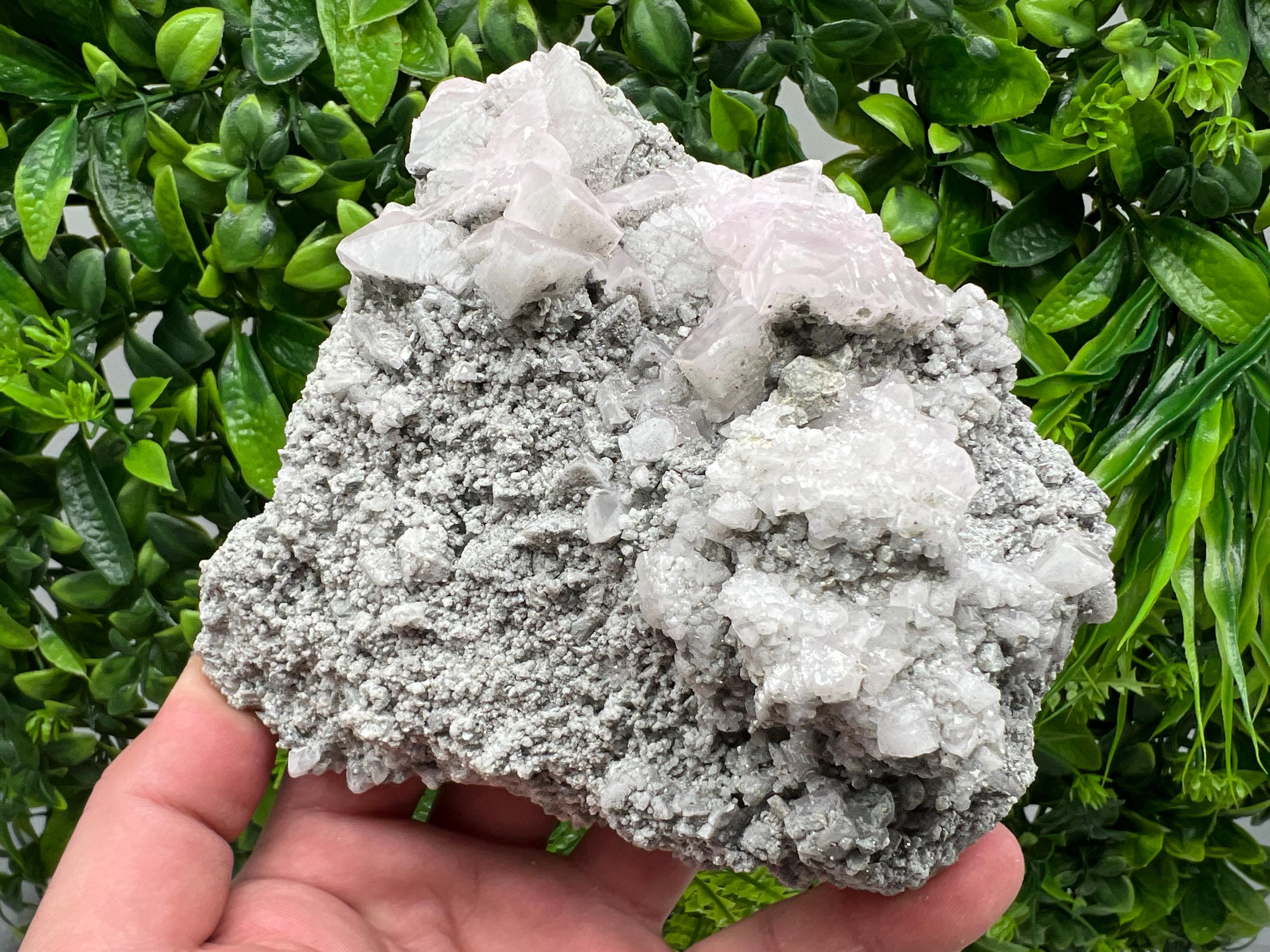 UV Reactive Mangano Calcite Crystal, Androvo Mine Bulgaria