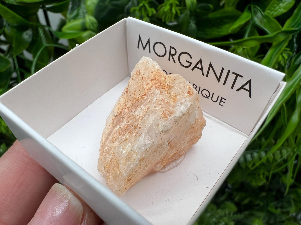 Rare Raw Morganite Specimen: Mozambique Crystal Collection (3/3.5cm)