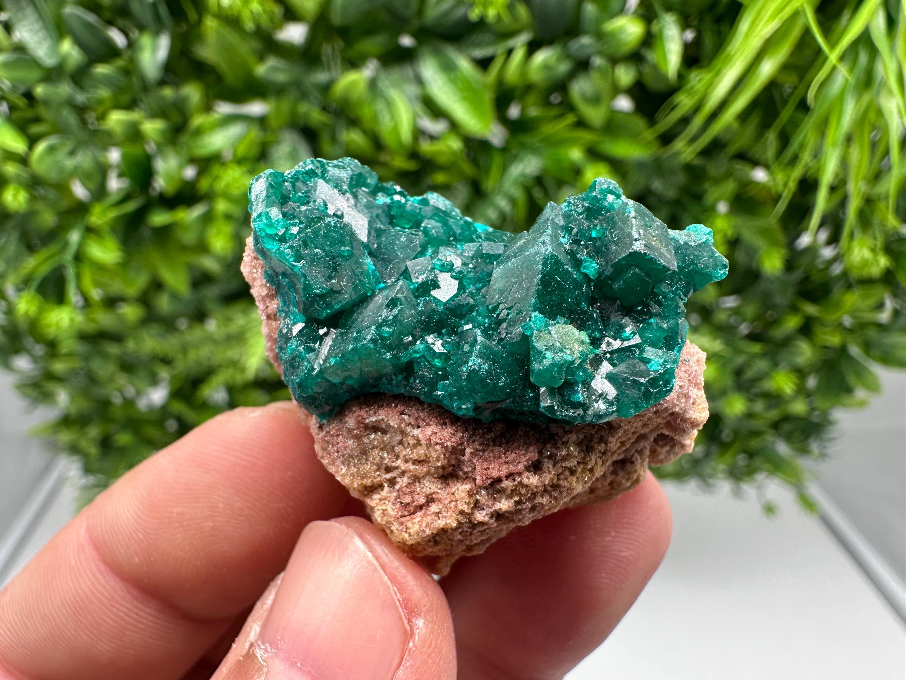 Stunning Green Dioptase from Sanda Hills,Mindouli,Pool Department,Mindouli District,Congo,green Dioptase,Dioptas Crystal,Dioptase collecting