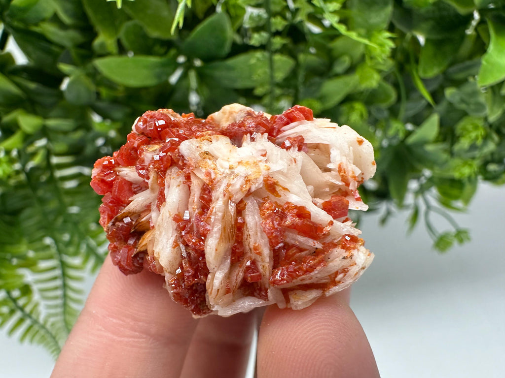 Red Vanadinite on Barite from Marocco,crystal minerals Speciment cluster Vanadinite crystal Vanadinite Geology Vanadinite cluster minerals