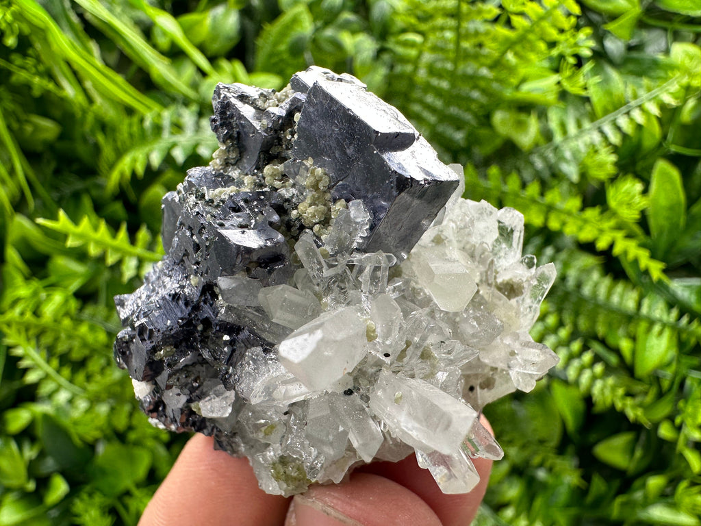 Galena on Quartz: Borieva Mine Crystal Souvenir