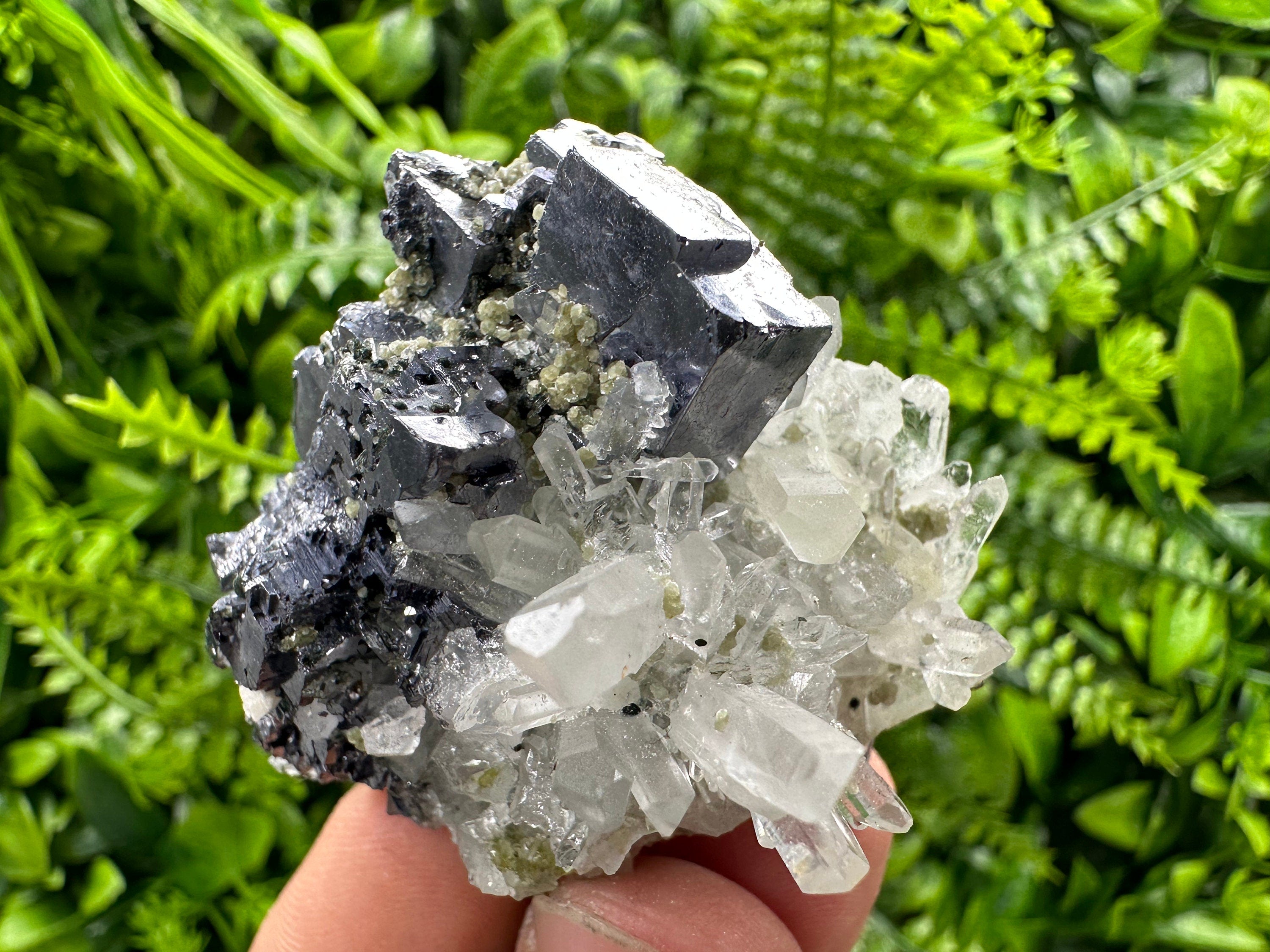 Galena on Quartz: Borieva Mine Crystal Souvenir