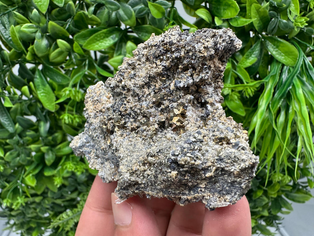 Pyrite Galena on Green Quartz: Chlorite Mineral Specimen, Bulgaria