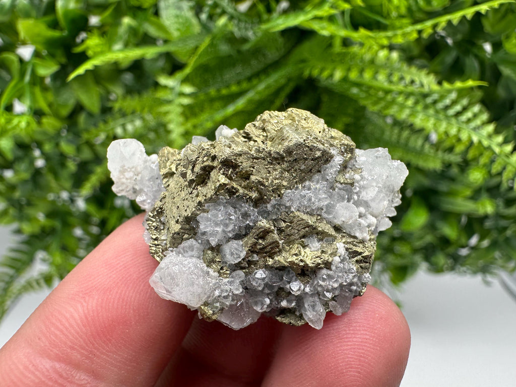 Chalcopyrite on Quartz Specimen, Krushev dol Mine, Bulgaria