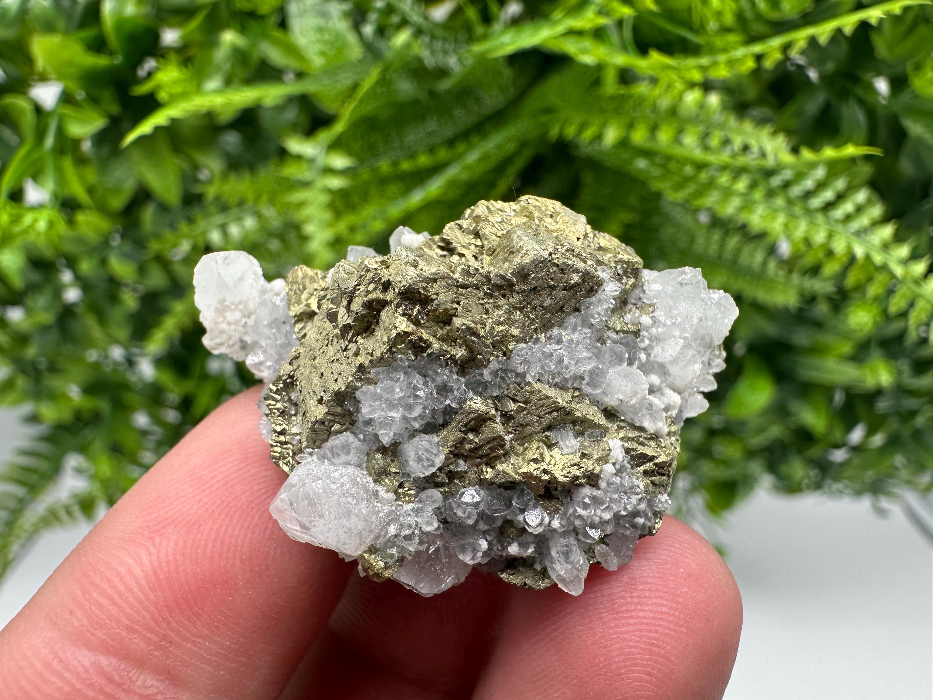 Chalcopyrite on Quartz Specimen, Krushev dol Mine, Bulgaria