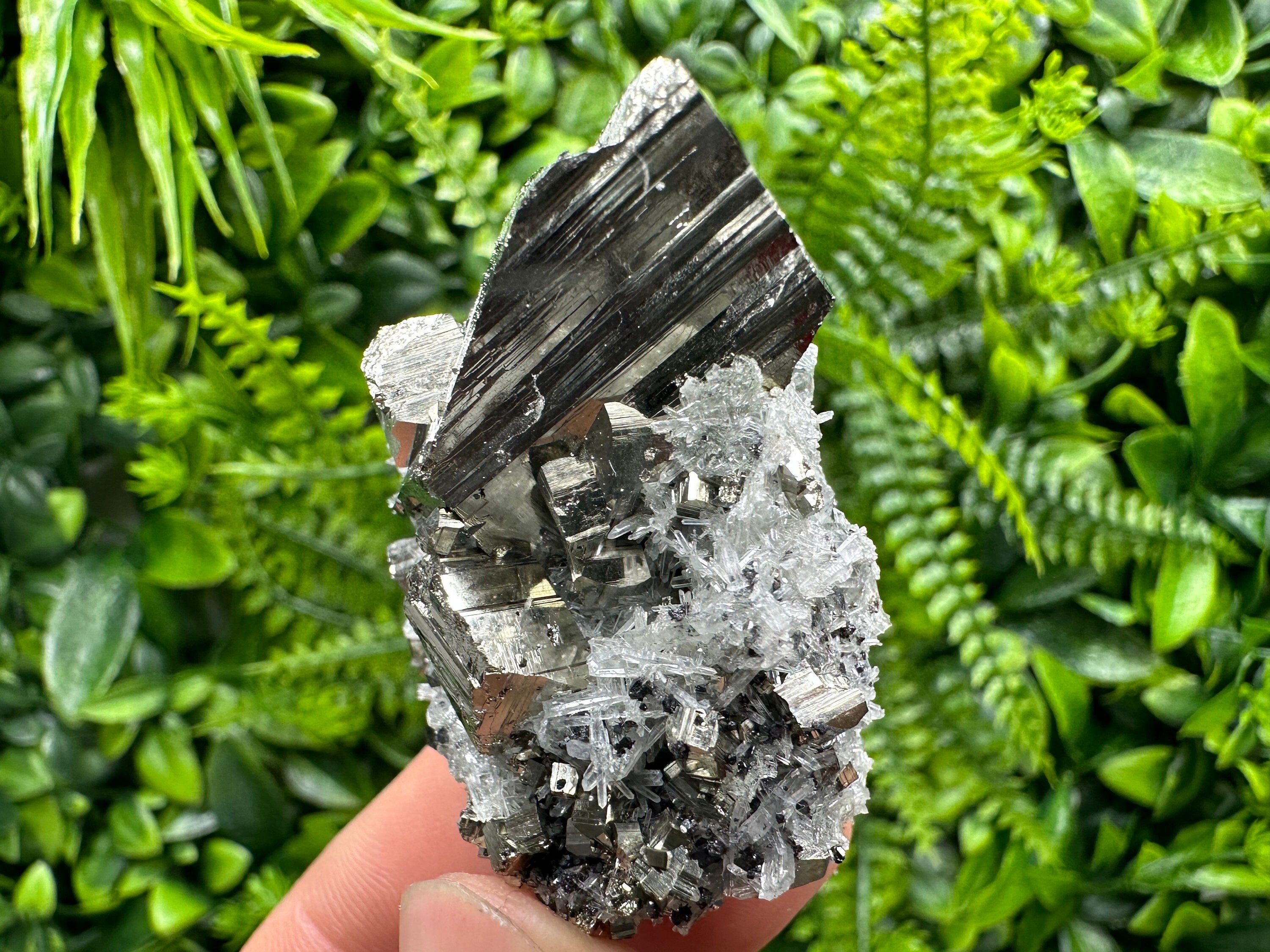 Pyrite on Needle Quartz: Chlorite Inclusions, Borieva Mine, Bulgaria