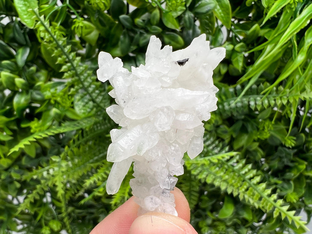 Wonderful Transparent Quartz on Chlorite Matrix,From Borieva mine,Madan,Bulgaria,Quartz,Quartz crystal,mineral specimen,collection quartz